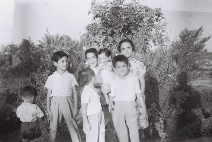 أقارب في متنزه