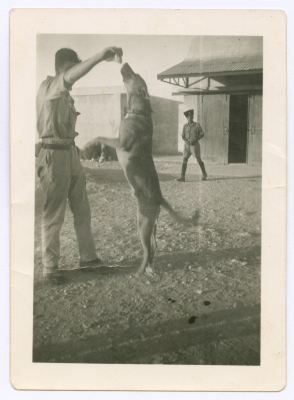 Two men and a watchdog at the British Army training camp
