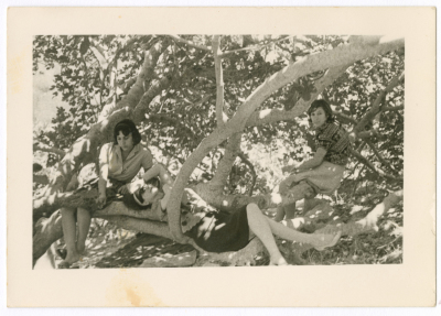 Three women sitting on tree branches at the backyard of Shahen Family