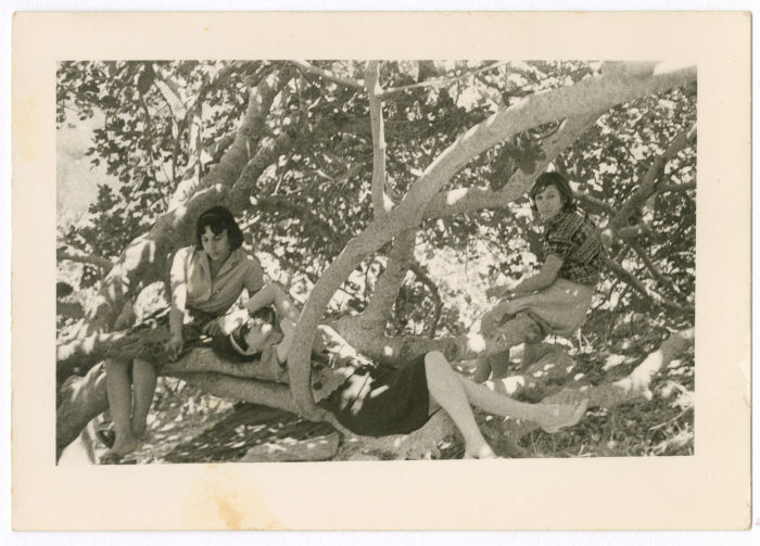 Three women sitting on tree branches at the backyard of Shahen Family's house in Nablus
