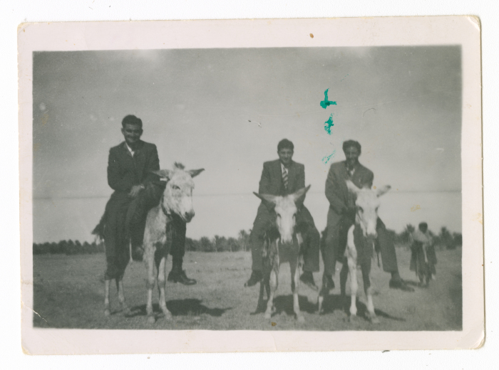 Men riding donkeys