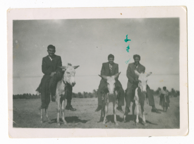 Men riding donkeys