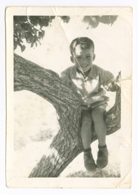 A child on a tree