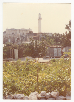 The Grand Mosque and the Greek Monastery of al-Led