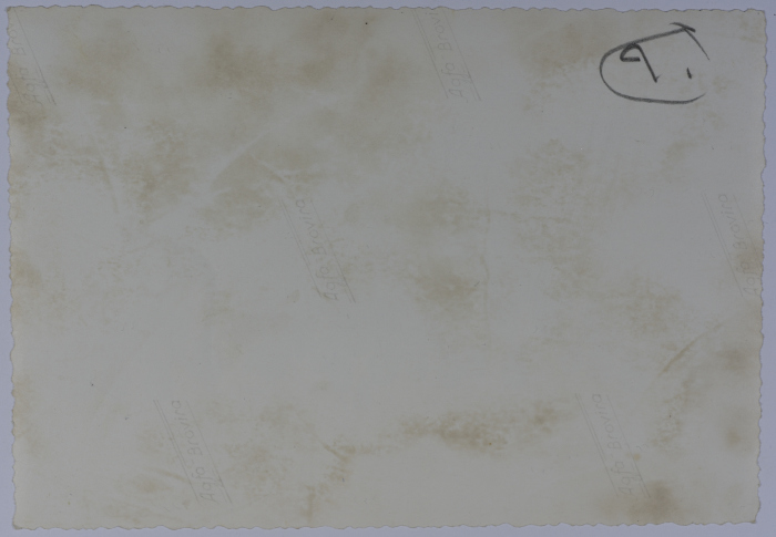 Mahira Dajani and Others, Ramallah Girls' School