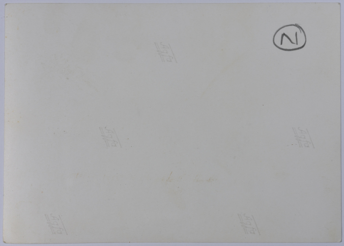 Mahira Dajani with a Kuwaiti Delegation, Jordan 