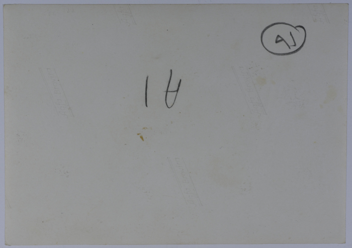 Mahira Dajani and Others, Ramallah Girls' School