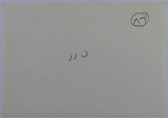 Mahira Dajani and Others, Ramallah Girls' School