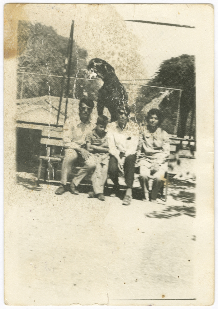 رحلة عائلية إلى حديقة الحيوانات