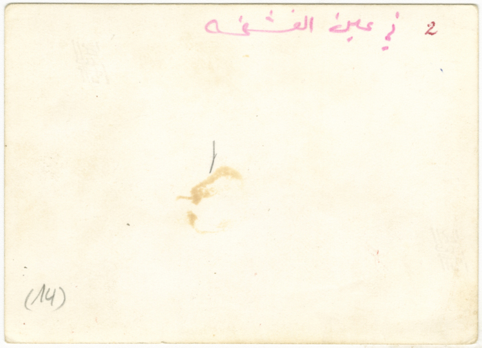 A school trip to Ein Fashkha