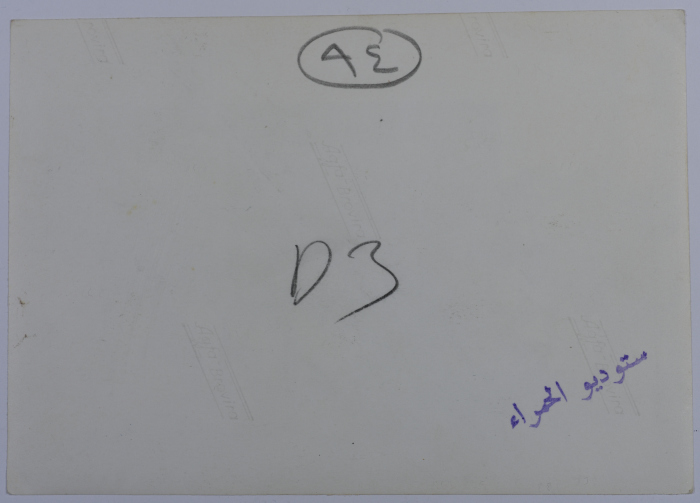 Mahira Dajani and Others, Ramallah Girls' School