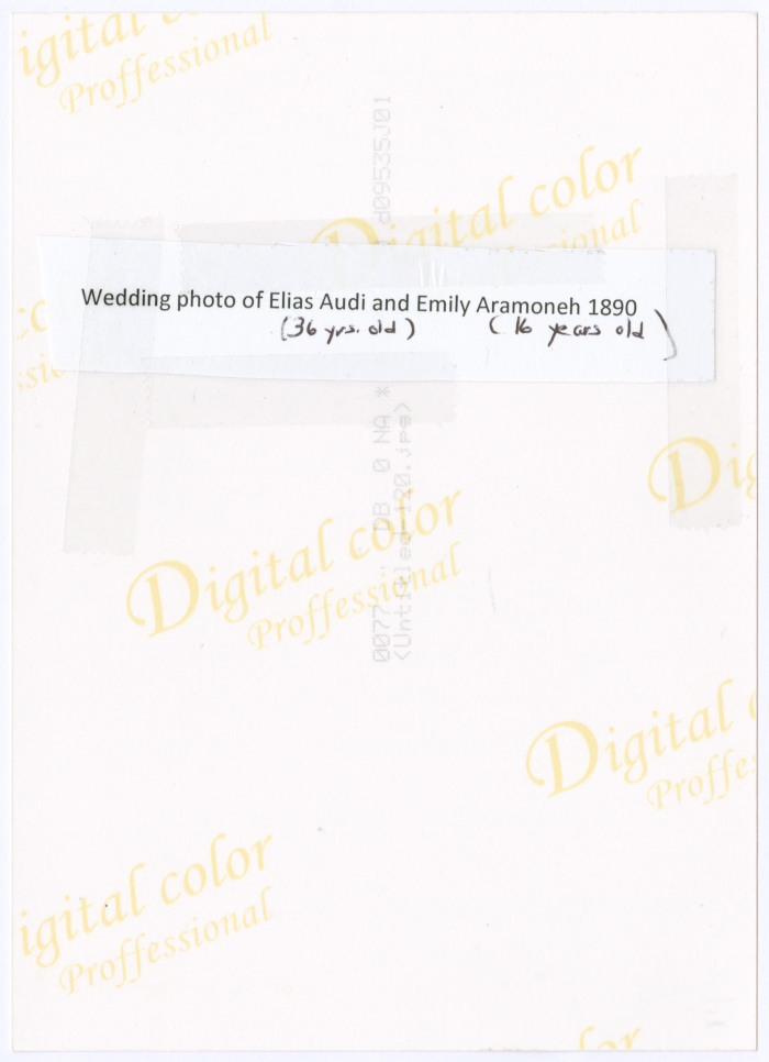 A married couple on their wedding day