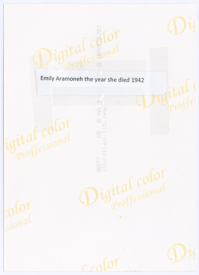 A Lebanese woman; married a Palestinian and lives in Palestine