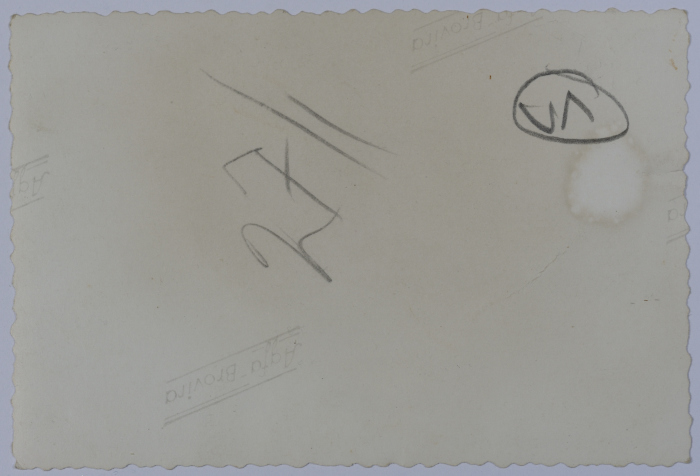 Jordanian Scout Guides, Iraq 