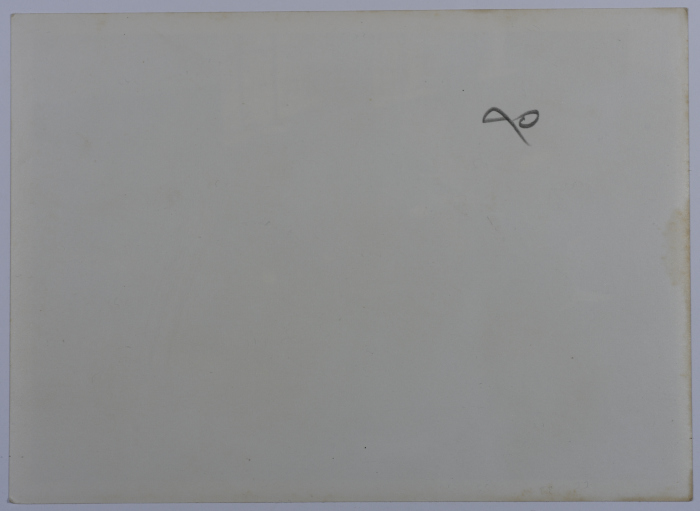 Training for Physical Education Teachers, Jerusalem 