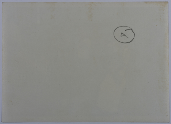 Training for Physical Education Teachers, Jerusalem 