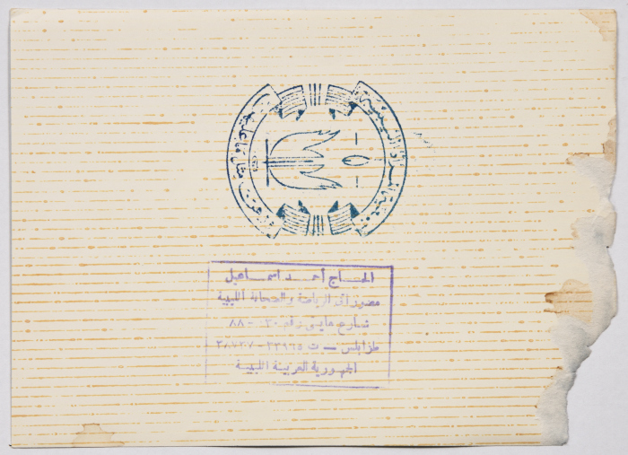 Palestinian and Libyan Women.