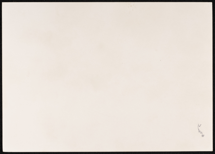 ليلى الحمراء