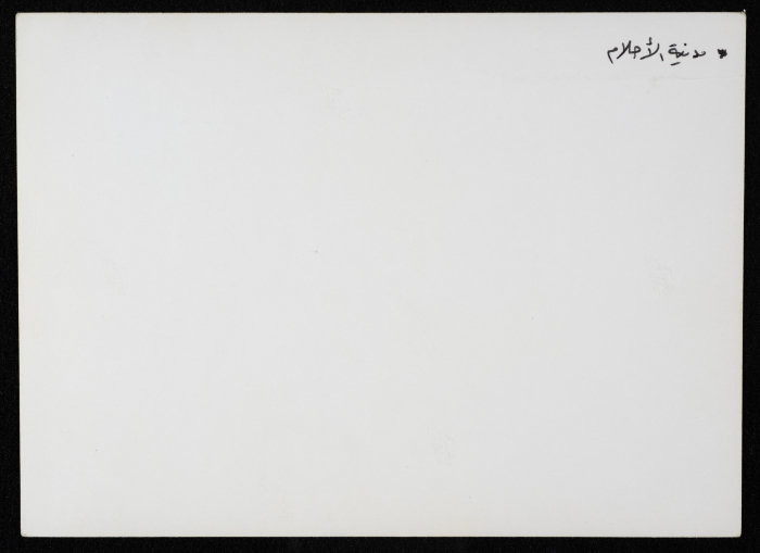 مدينة الأحلام