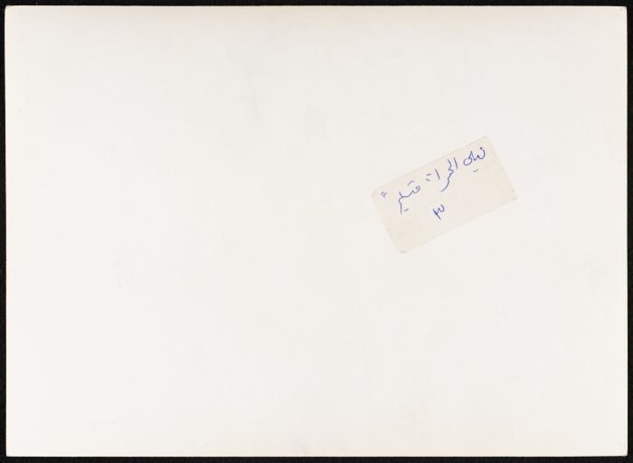 ليلى الحمراء