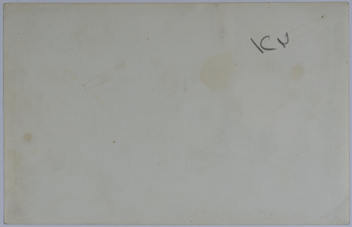 A Photograph of the Dajani Family 