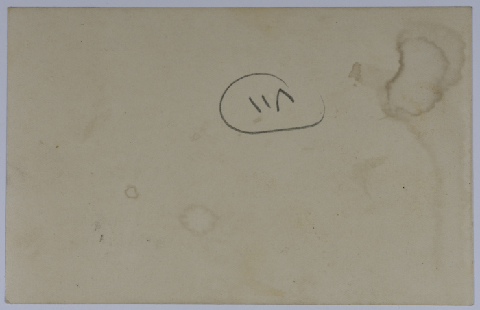 مهرجان رياضي لمرشدات الكشافة، 1963