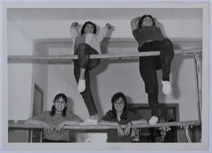 A Training for Physical Education Teachers in Preparation for Scout Festivals 