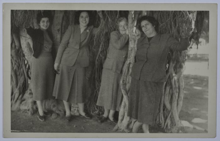 A Photograph in al-Qanatir al-Khayriyyah, 1956