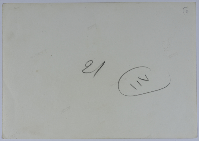 Mahira Dajani and Others, 1966