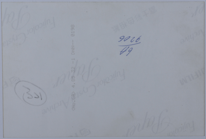 A Photograph of the Dajani Family 