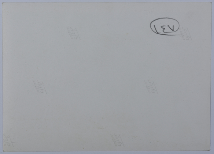 A Kuwaiti Delegation Visit, Palestine, 1962	