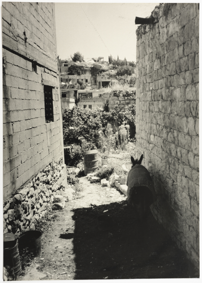 زقاق في مخيم للجوء الفلسطيني، جنوب لبنان