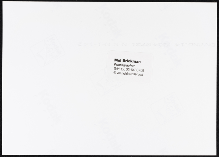A Photograph of a 