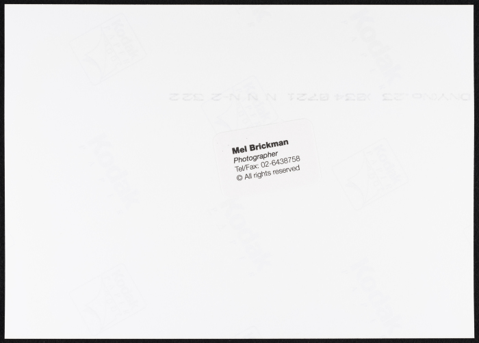 A Photograph of a 