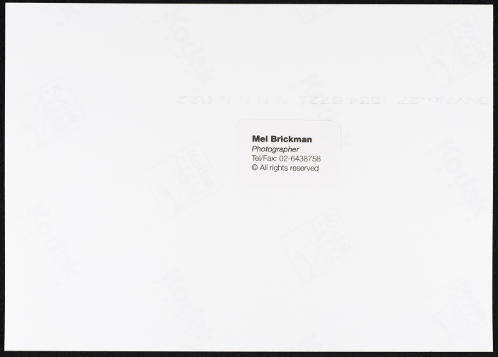 A Photograph of a 