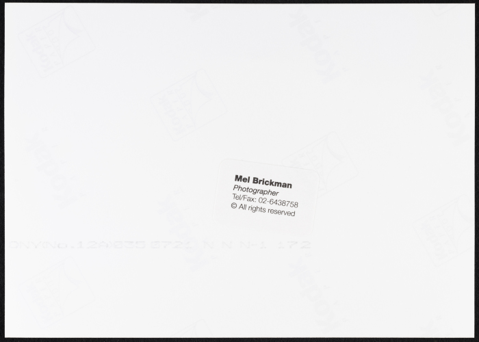 A Photograph of a 