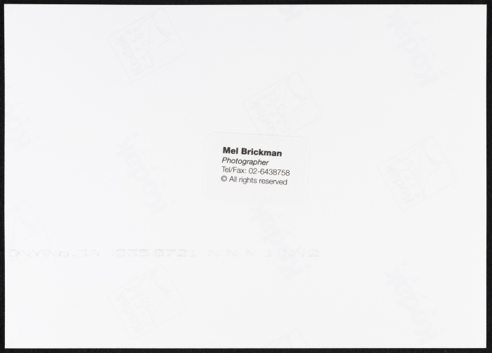 A Photograph of a 