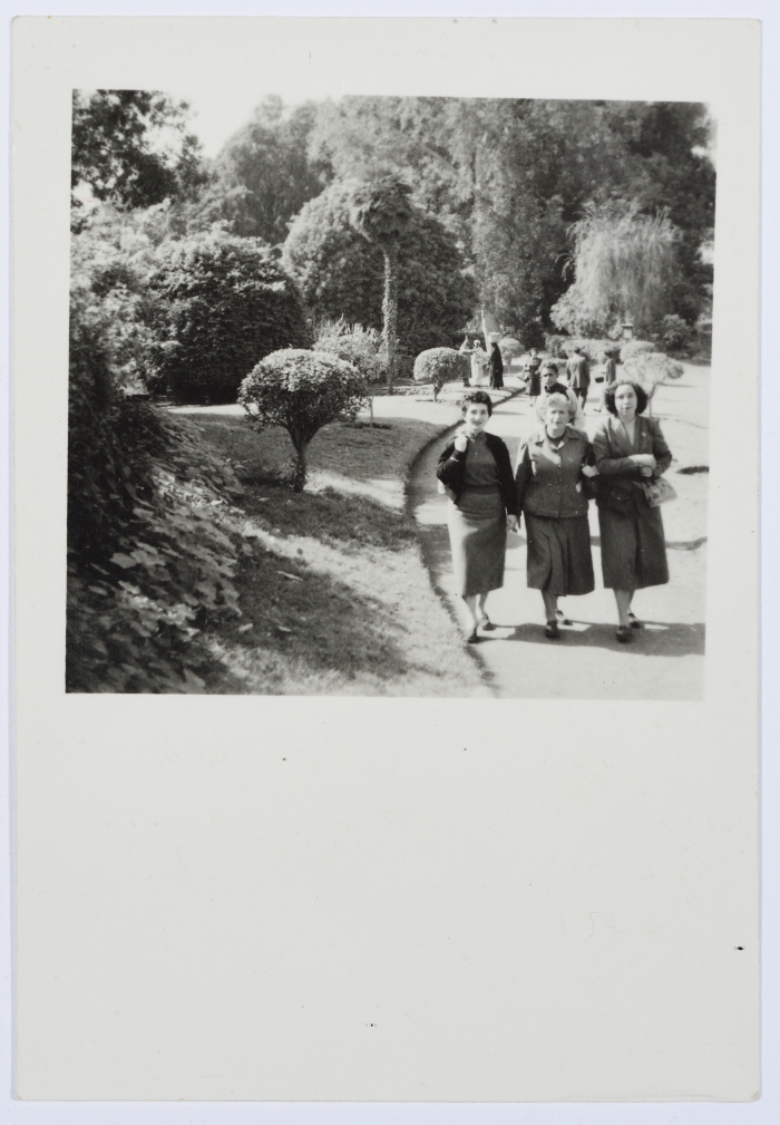 Mahira Dajani and Others, al-Qanatir al-Khayriyyah