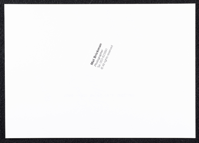 عرض مسرحية المهاجر