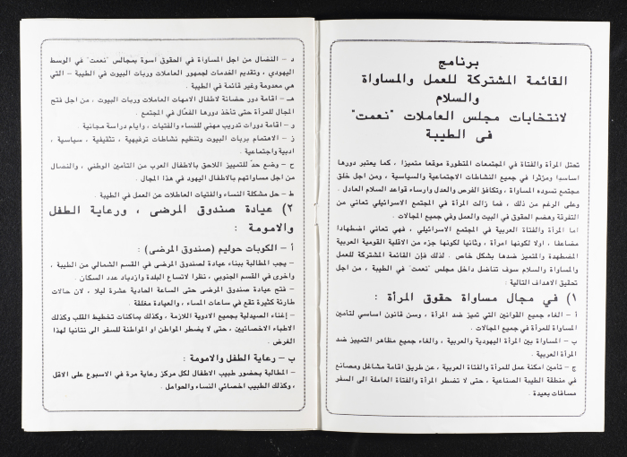 The Joint List for the Working Women Council on Work, Equality, and Peace 