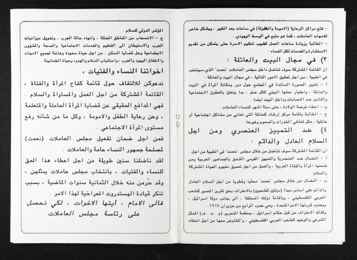 The Joint List for the Working Women Council on Work, Equality, and Peace 