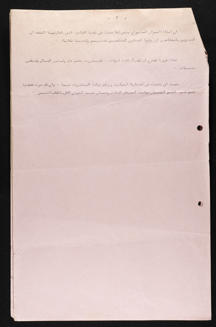 A Lecture on the Histadrut and Na'amat Council