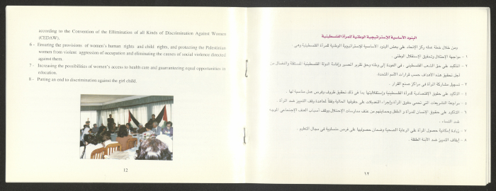 A Brochure by the General Union of Palestinian Women
