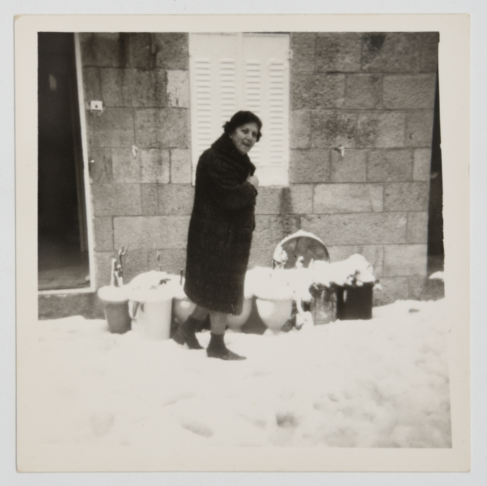 Salwa Ashrawi in the Yard of her House in Occupied Jerusalem 