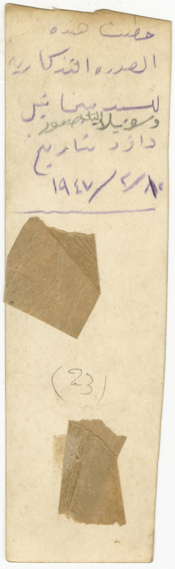 A portrait of a young man