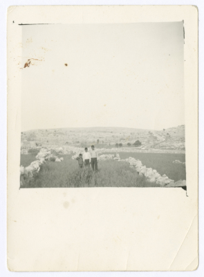 Siblings from Abdel-Aziz Hmmad Family