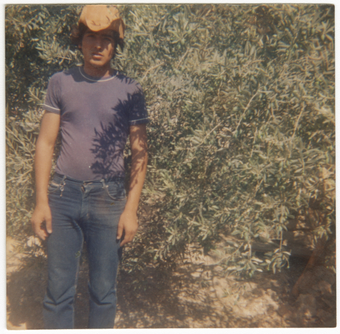 شاب أمام شجرة زيتون.