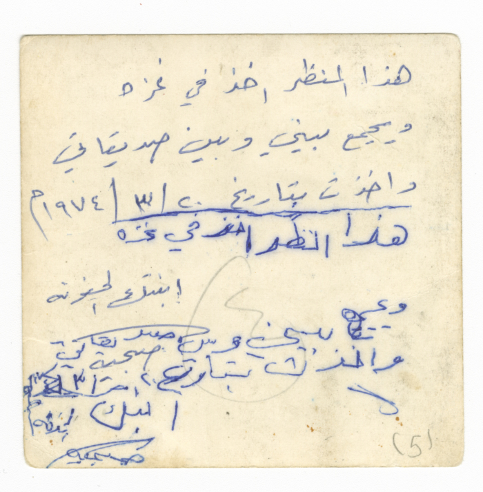 صديقات في رحلة مدرسية