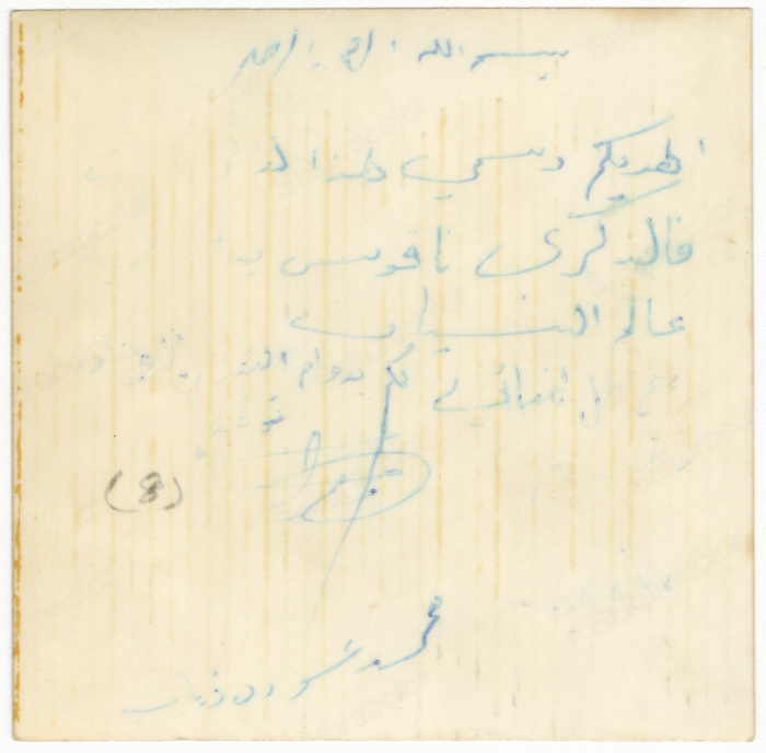 شاب أمام شجرة زيتون.