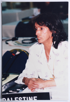 Nehaya Mohammad Attending a Meeting by the ESCWA